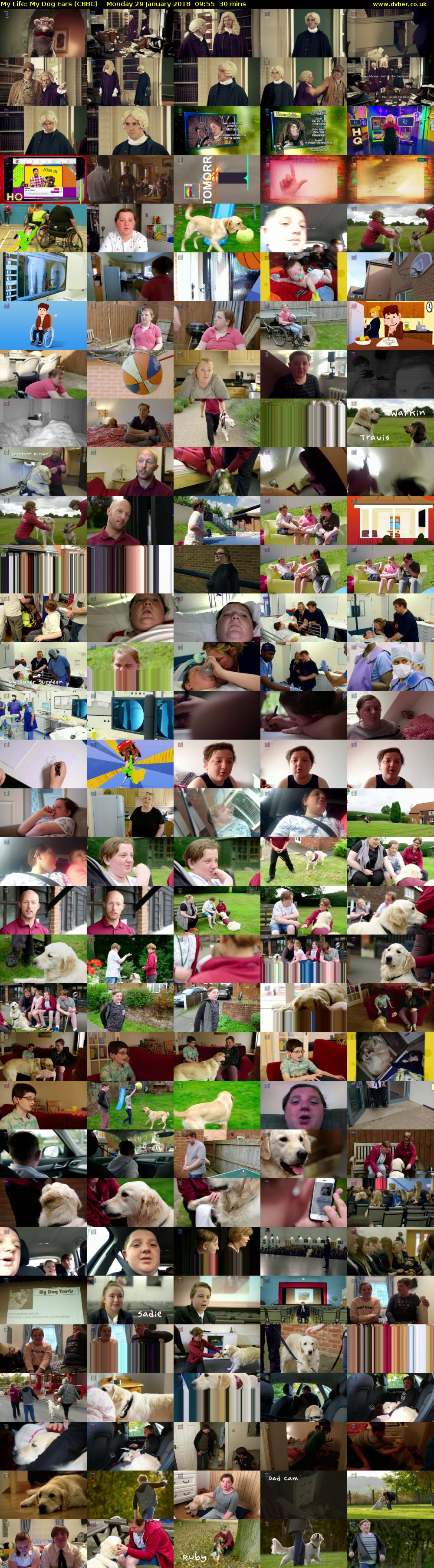 My Life: My Dog Ears (CBBC) Monday 29 January 2018 09:55 - 10:25