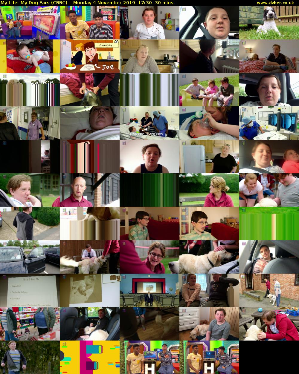 My Life: My Dog Ears (CBBC) Monday 4 November 2019 17:30 - 18:00