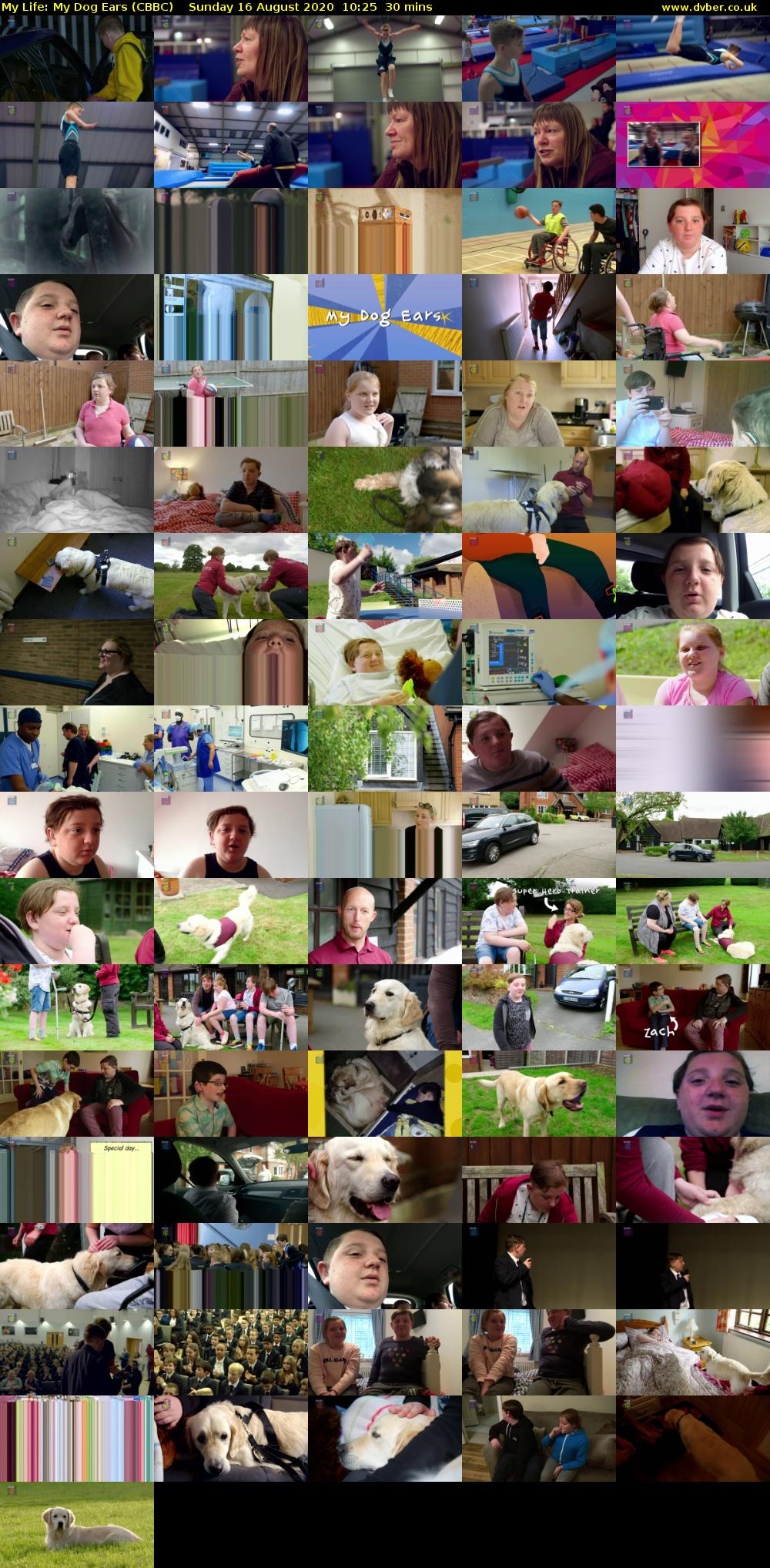 My Life: My Dog Ears (CBBC) Sunday 16 August 2020 10:25 - 10:55