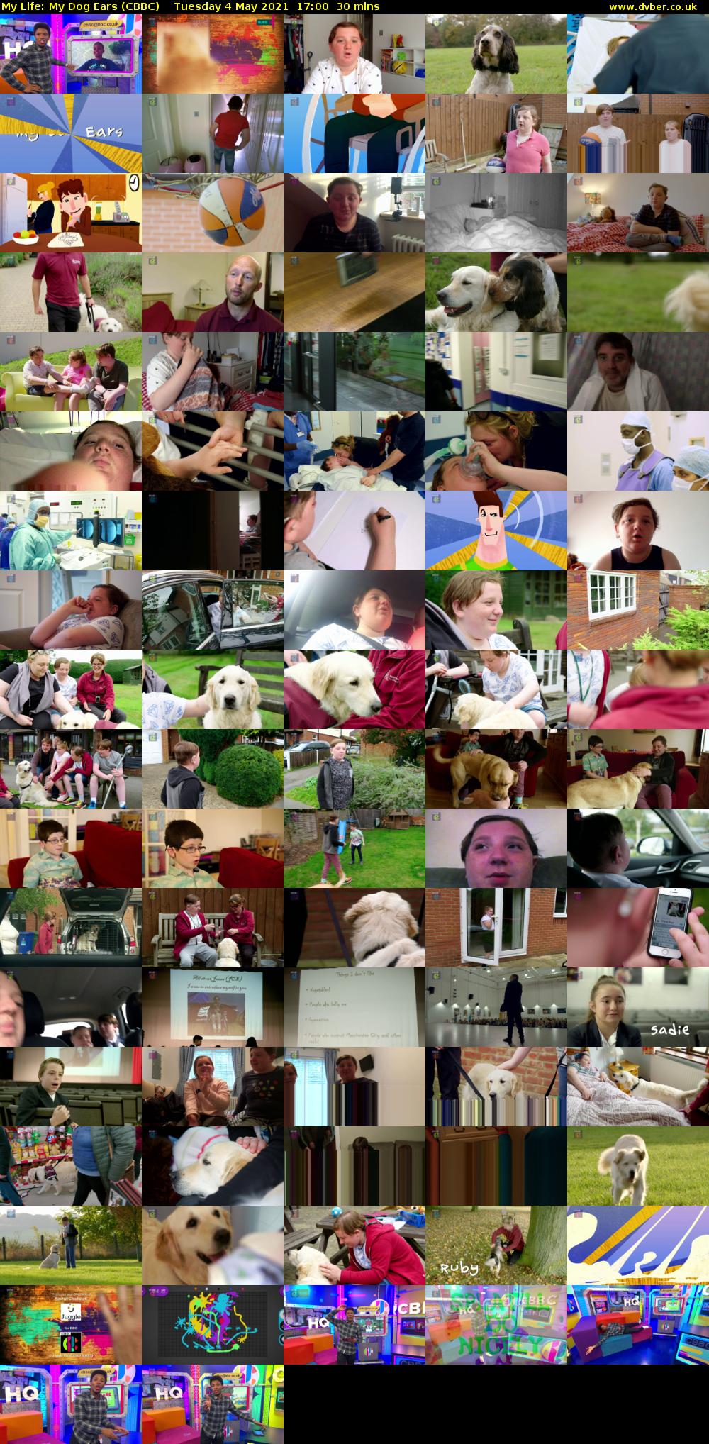 My Life: My Dog Ears (CBBC) Tuesday 4 May 2021 17:00 - 17:30