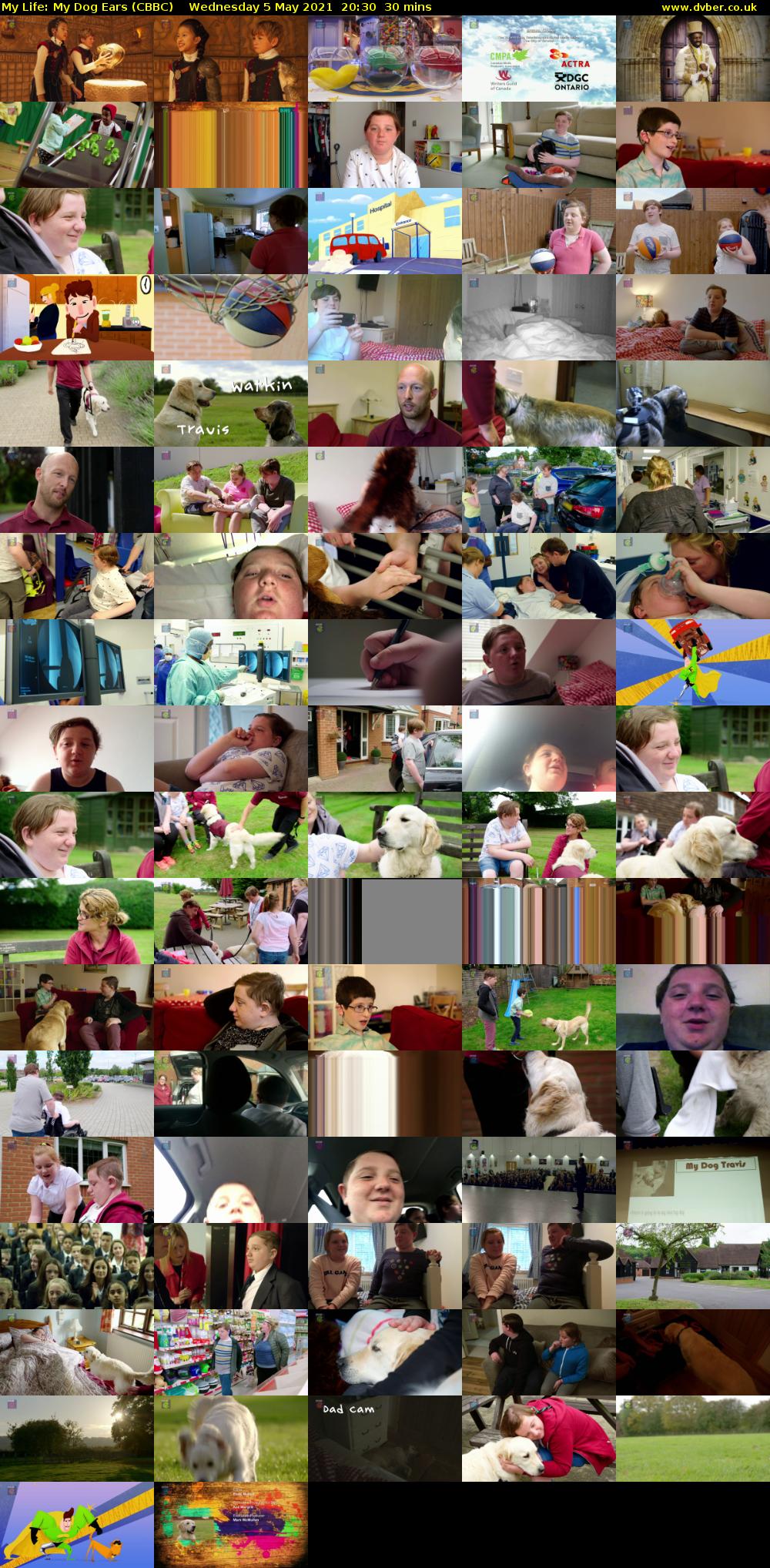 My Life: My Dog Ears (CBBC) Wednesday 5 May 2021 20:30 - 21:00