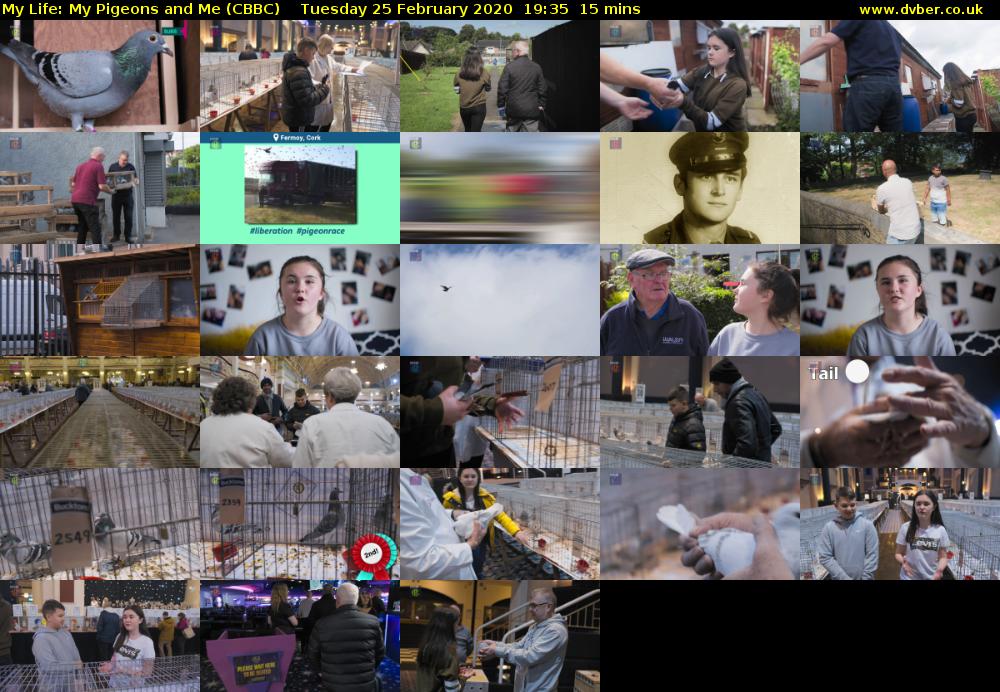 My Life: My Pigeons and Me (CBBC) Tuesday 25 February 2020 19:35 - 19:50