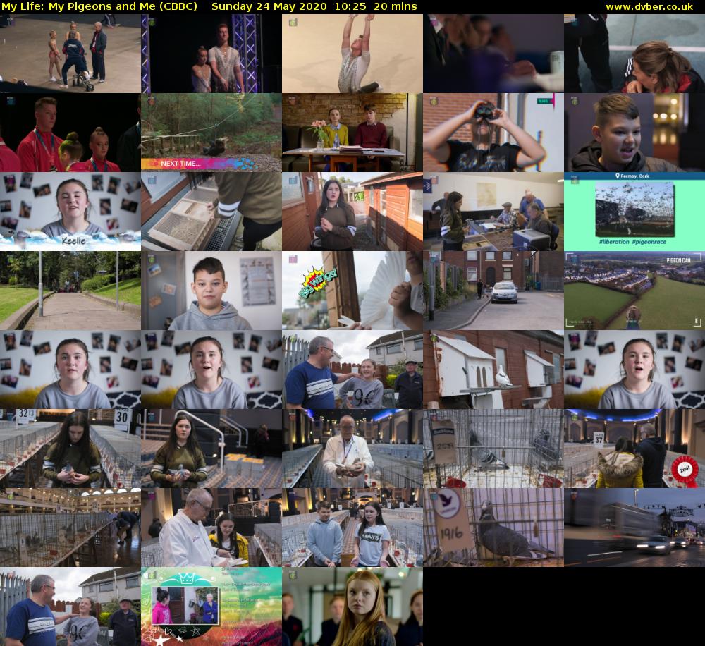 My Life: My Pigeons and Me (CBBC) Sunday 24 May 2020 10:25 - 10:45