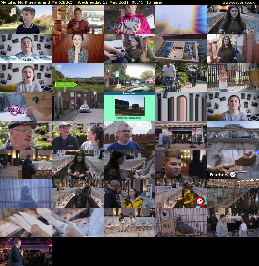 My Life: My Pigeons and Me (CBBC) Wednesday 12 May 2021 09:45 - 10:00