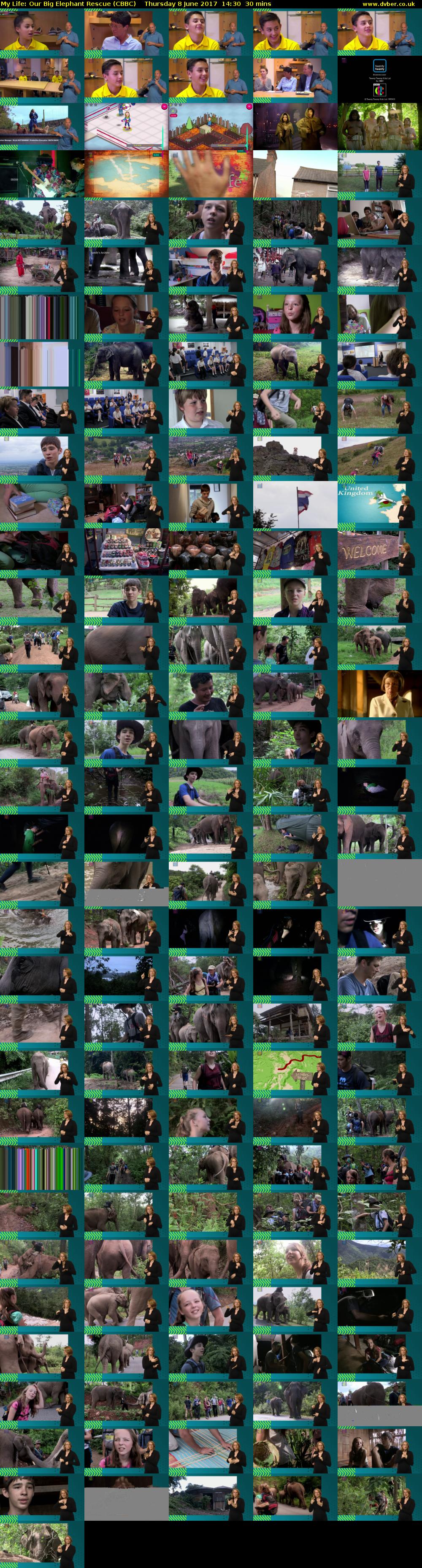 My Life: Our Big Elephant Rescue (CBBC) Thursday 8 June 2017 14:30 - 15:00