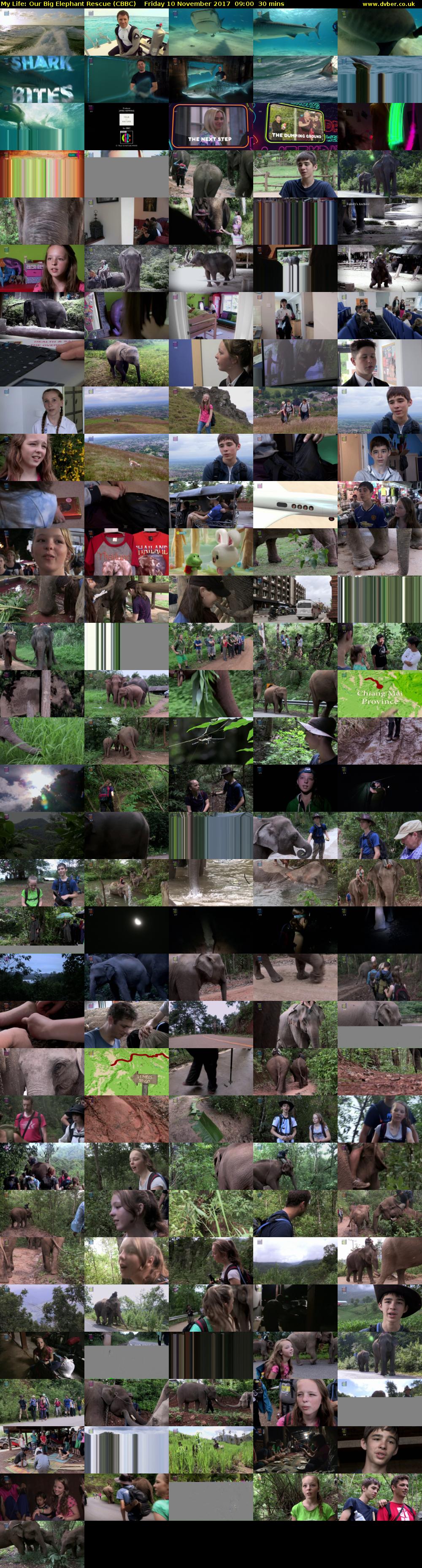 My Life: Our Big Elephant Rescue (CBBC) Friday 10 November 2017 09:00 - 09:30