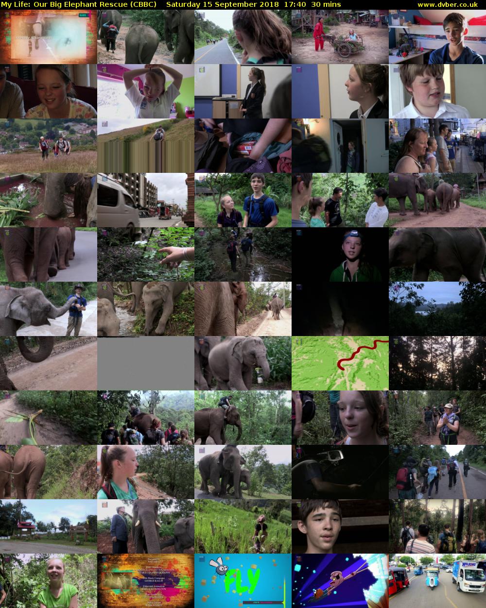 My Life: Our Big Elephant Rescue (CBBC) Saturday 15 September 2018 17:40 - 18:10
