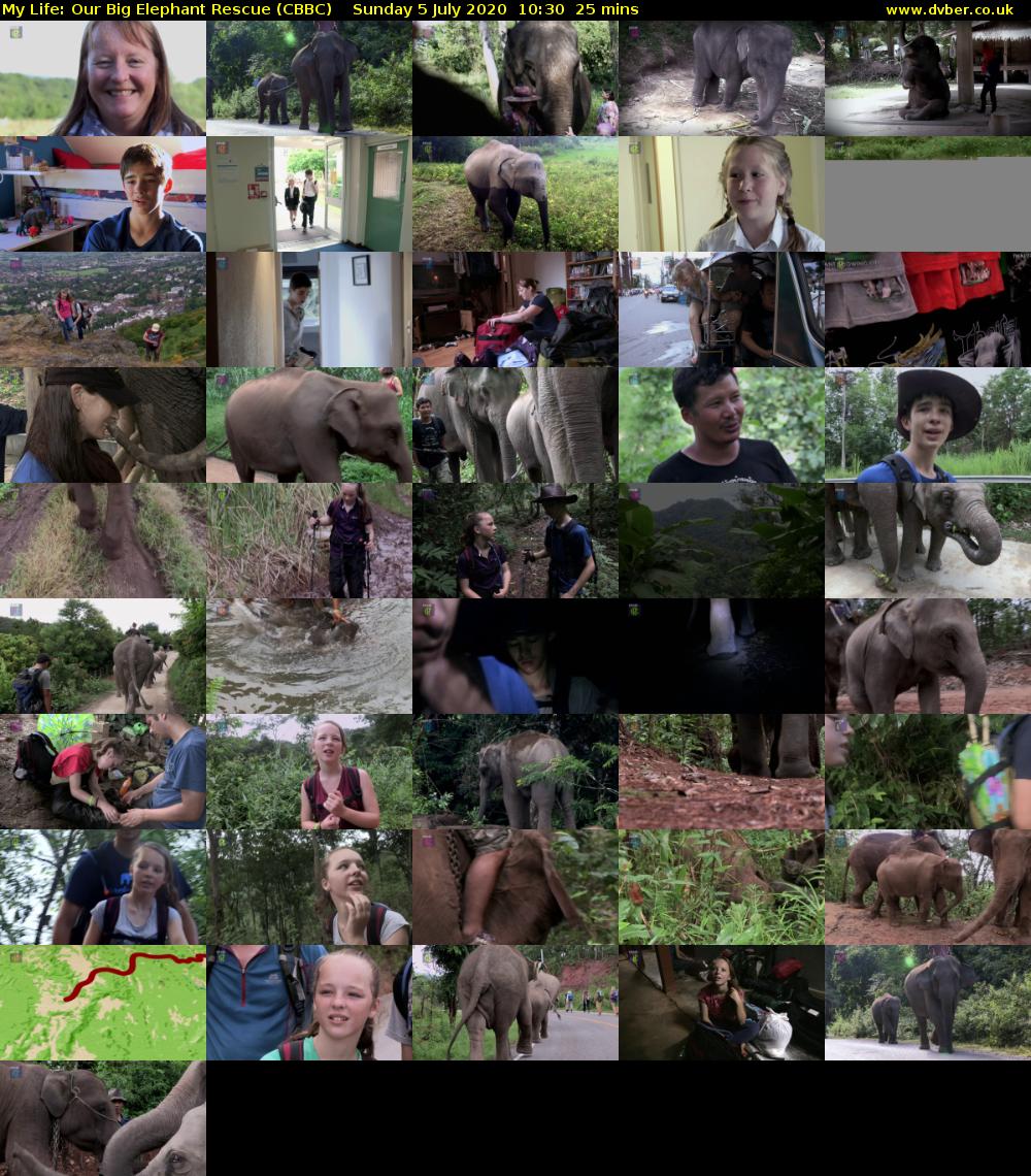 My Life: Our Big Elephant Rescue (CBBC) Sunday 5 July 2020 10:30 - 10:55