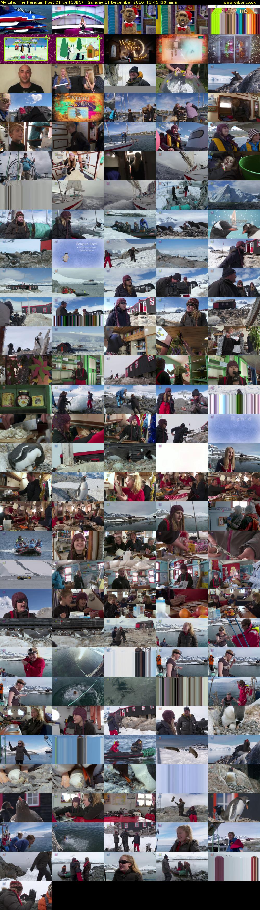 My Life: The Penguin Post Office (CBBC) Sunday 11 December 2016 13:45 - 14:15