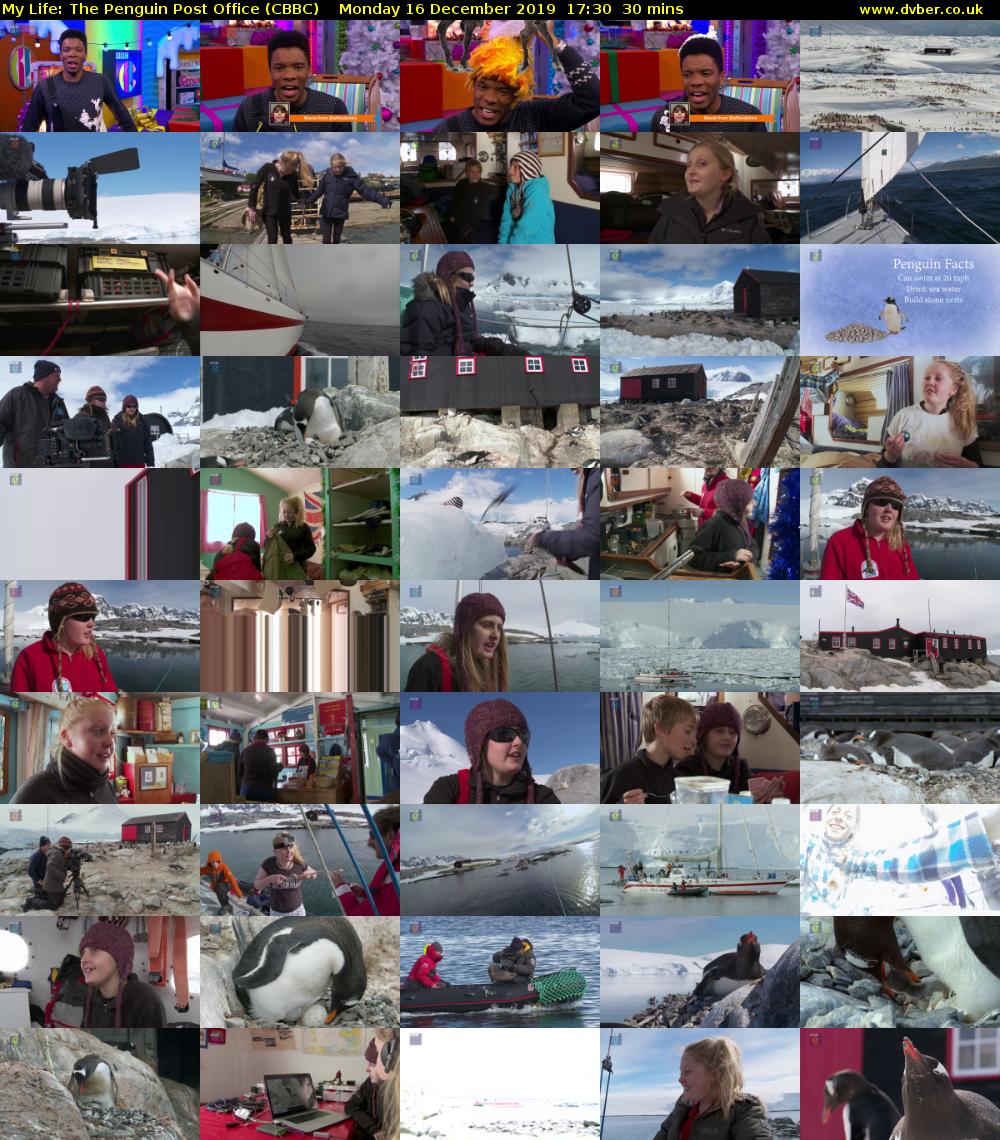 My Life: The Penguin Post Office (CBBC) Monday 16 December 2019 17:30 - 18:00