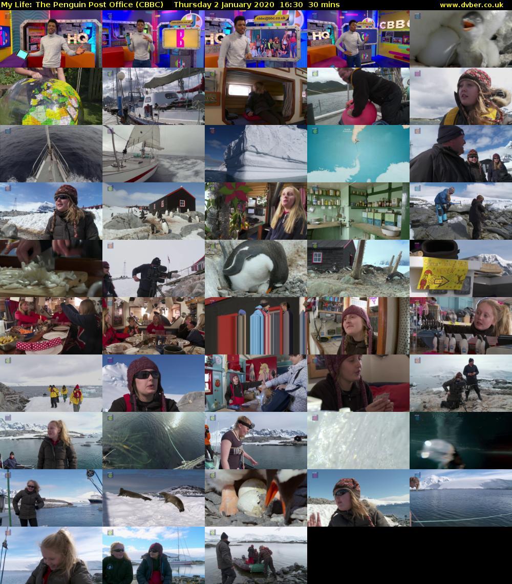 My Life: The Penguin Post Office (CBBC) Thursday 2 January 2020 16:30 - 17:00