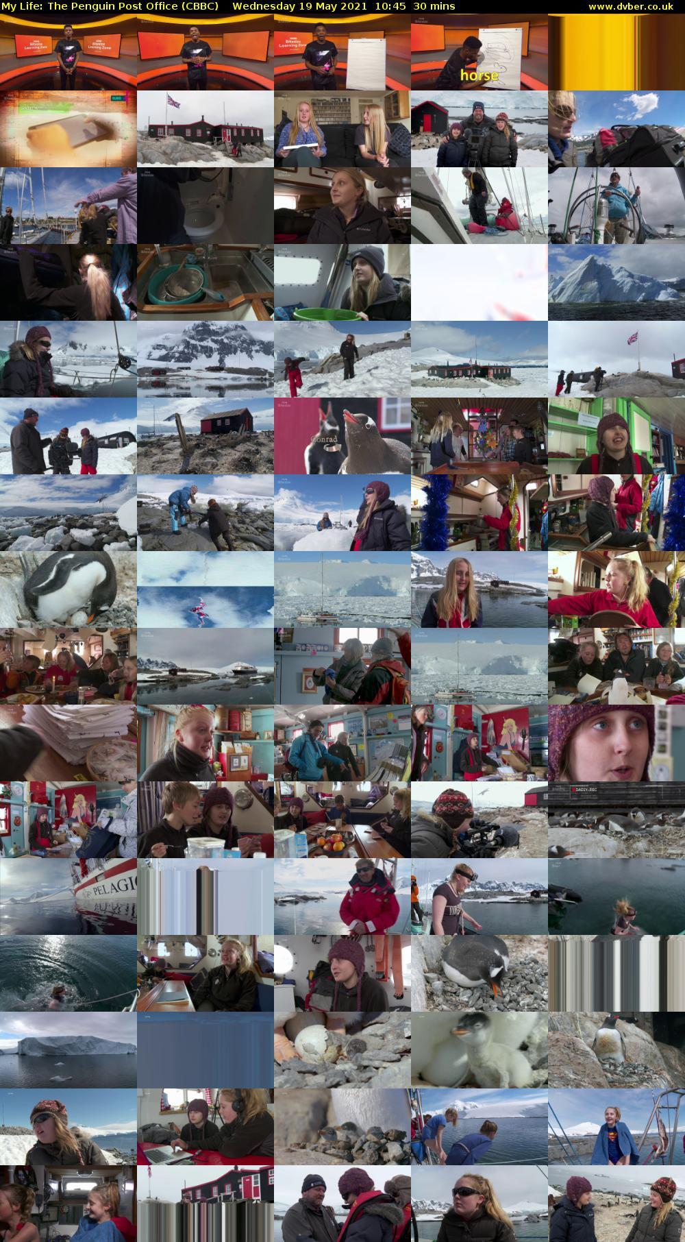 My Life: The Penguin Post Office (CBBC) Wednesday 19 May 2021 10:45 - 11:15