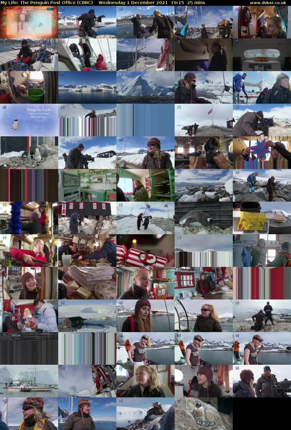 My Life: The Penguin Post Office (CBBC) Wednesday 1 December 2021 19:15 - 19:40