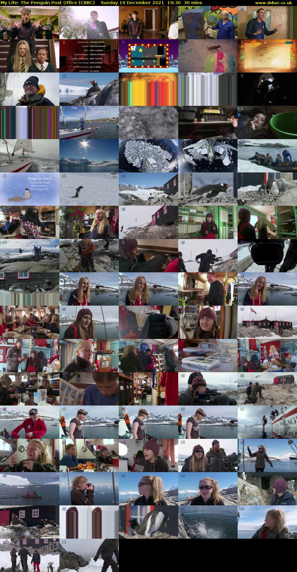 My Life: The Penguin Post Office (CBBC) Sunday 19 December 2021 19:30 - 20:00