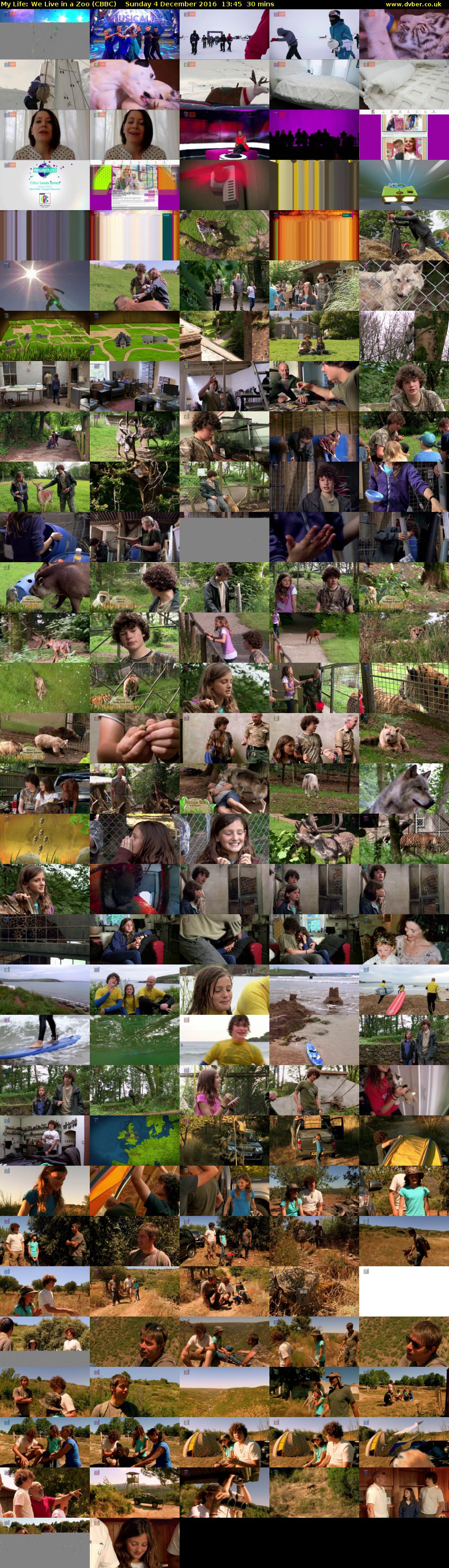 My Life: We Live in a Zoo (CBBC) Sunday 4 December 2016 13:45 - 14:15