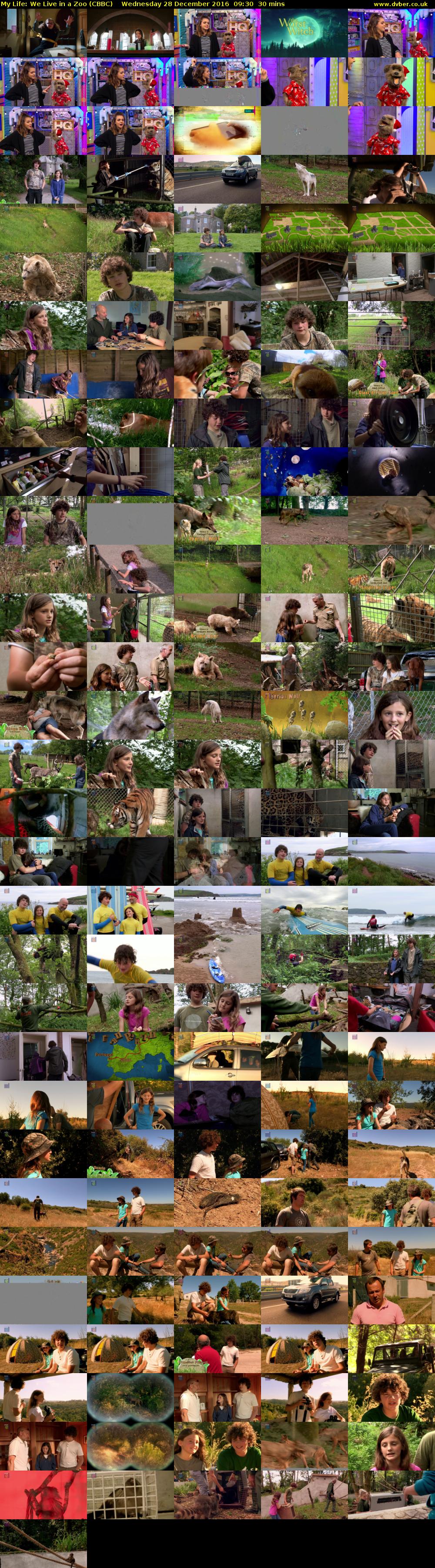 My Life: We Live in a Zoo (CBBC) Wednesday 28 December 2016 09:30 - 10:00