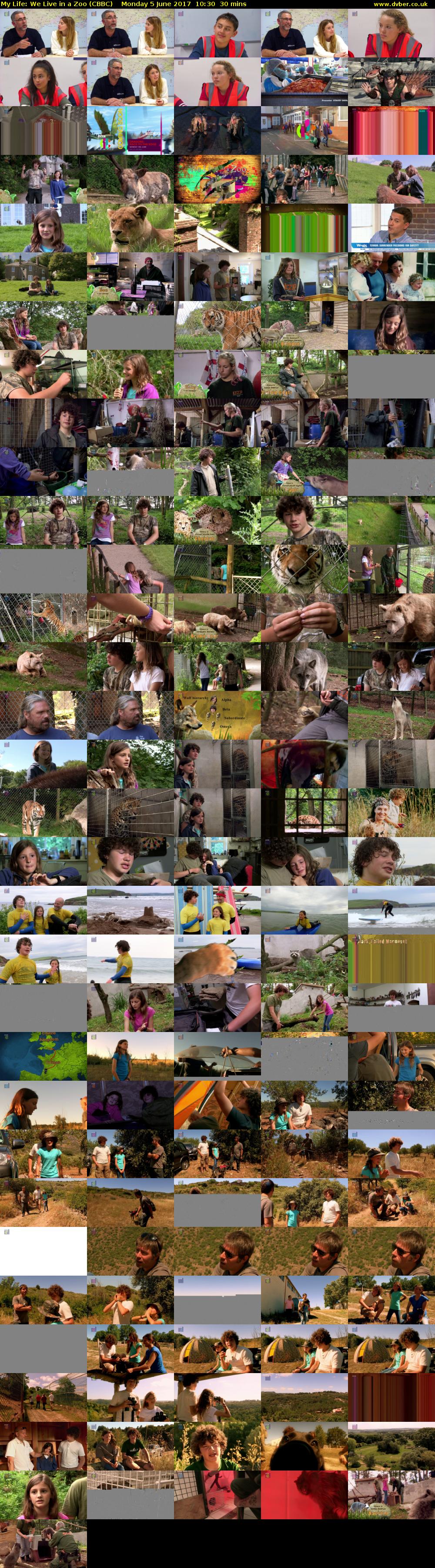 My Life: We Live in a Zoo (CBBC) Monday 5 June 2017 10:30 - 11:00