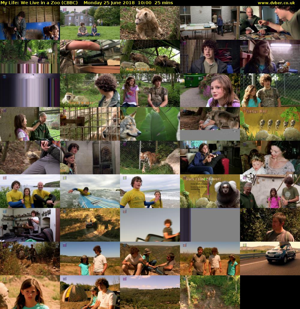 My Life: We Live in a Zoo (CBBC) Monday 25 June 2018 10:00 - 10:25