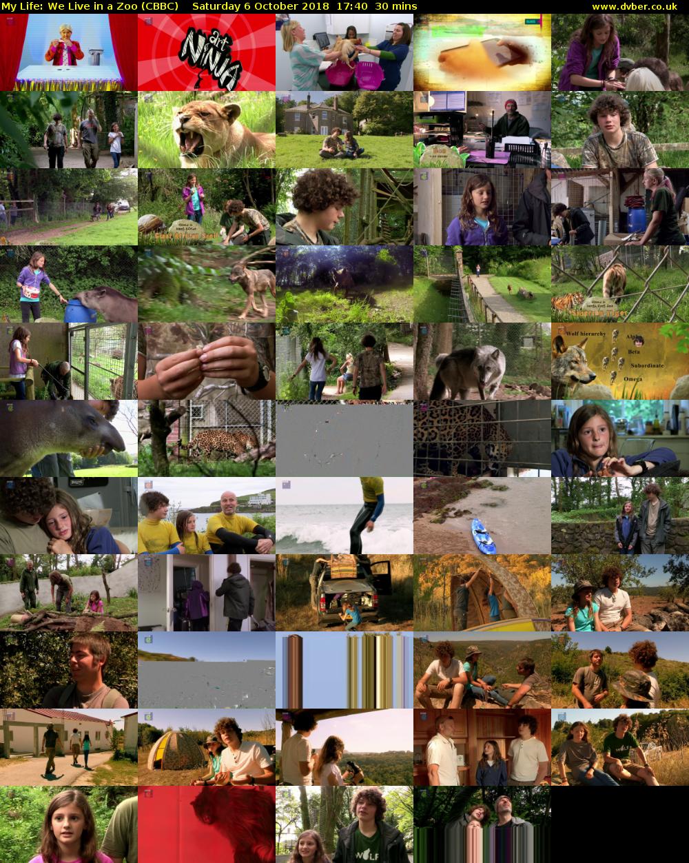 My Life: We Live in a Zoo (CBBC) Saturday 6 October 2018 17:40 - 18:10