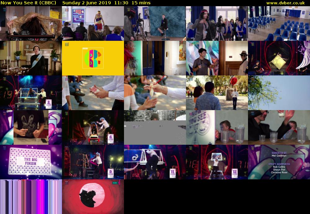 Now You See It (CBBC) Sunday 2 June 2019 11:30 - 11:45