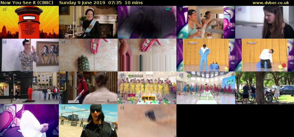 Now You See It (CBBC) Sunday 9 June 2019 07:35 - 07:45