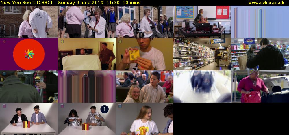 Now You See It (CBBC) Sunday 9 June 2019 11:30 - 11:40