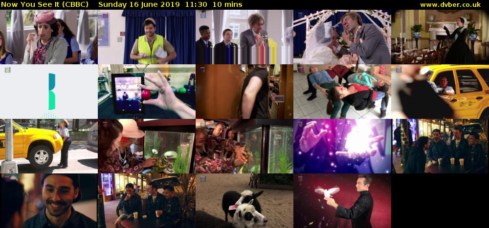 Now You See It (CBBC) Sunday 16 June 2019 11:30 - 11:40