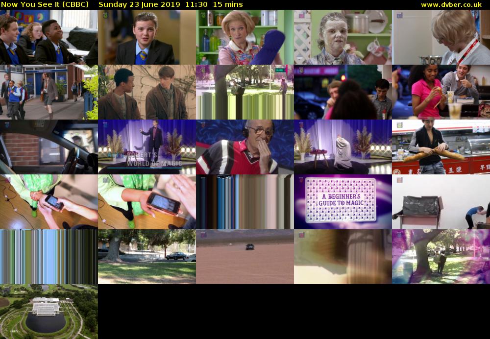 Now You See It (CBBC) Sunday 23 June 2019 11:30 - 11:45