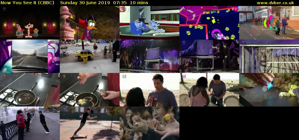 Now You See It (CBBC) Sunday 30 June 2019 07:35 - 07:45