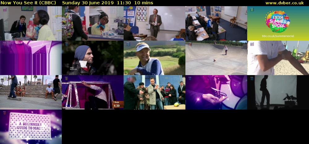 Now You See It (CBBC) Sunday 30 June 2019 11:30 - 11:40