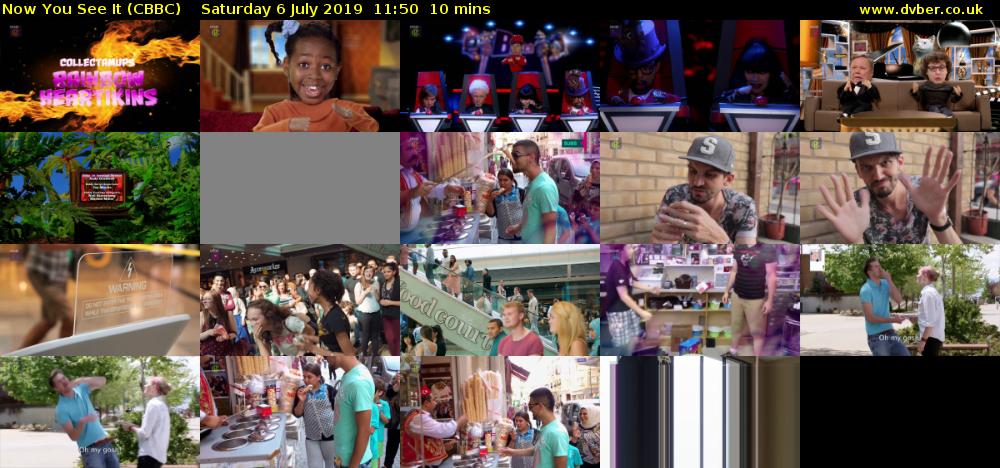 Now You See It (CBBC) Saturday 6 July 2019 11:50 - 12:00