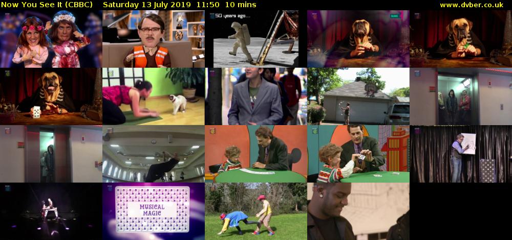 Now You See It (CBBC) Saturday 13 July 2019 11:50 - 12:00