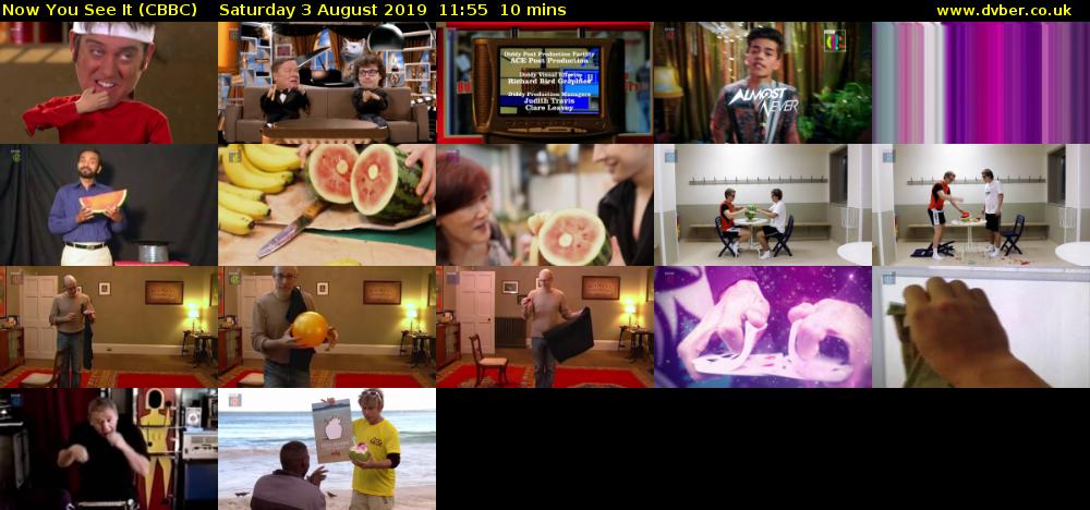 Now You See It (CBBC) Saturday 3 August 2019 11:55 - 12:05