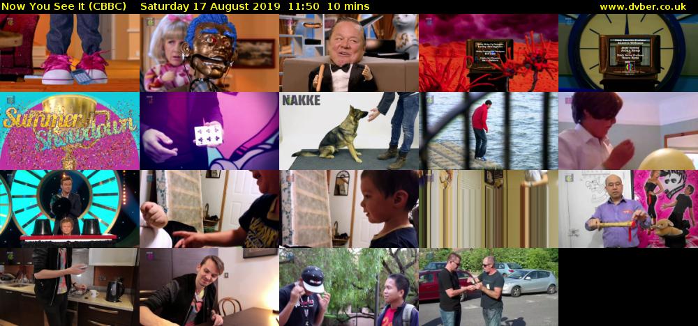 Now You See It (CBBC) Saturday 17 August 2019 11:50 - 12:00