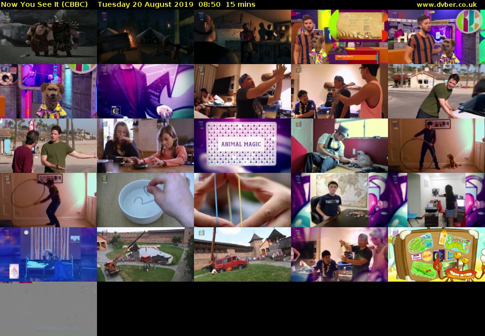 Now You See It (CBBC) Tuesday 20 August 2019 08:50 - 09:05