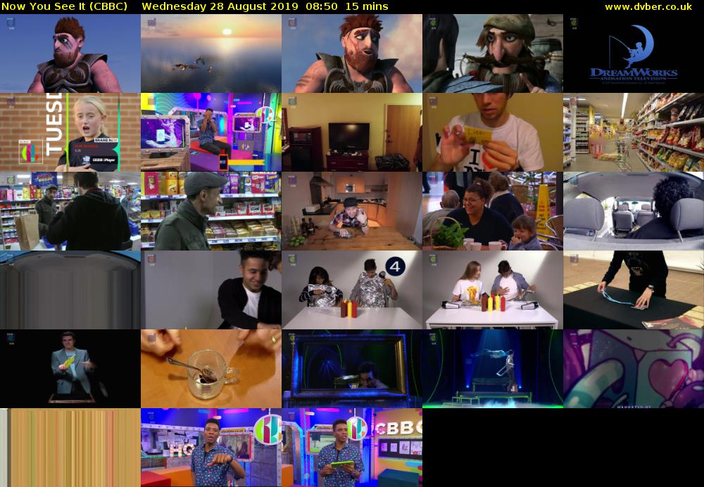 Now You See It (CBBC) Wednesday 28 August 2019 08:50 - 09:05