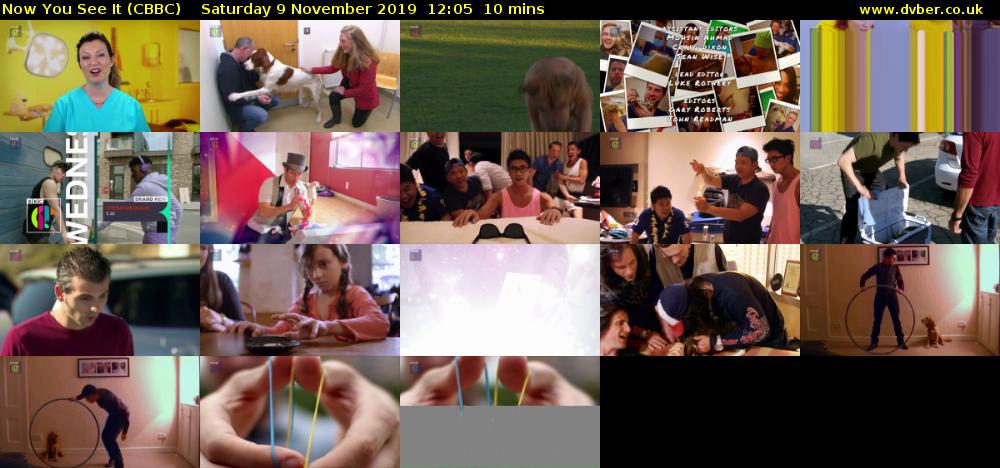 Now You See It (CBBC) Saturday 9 November 2019 12:05 - 12:15