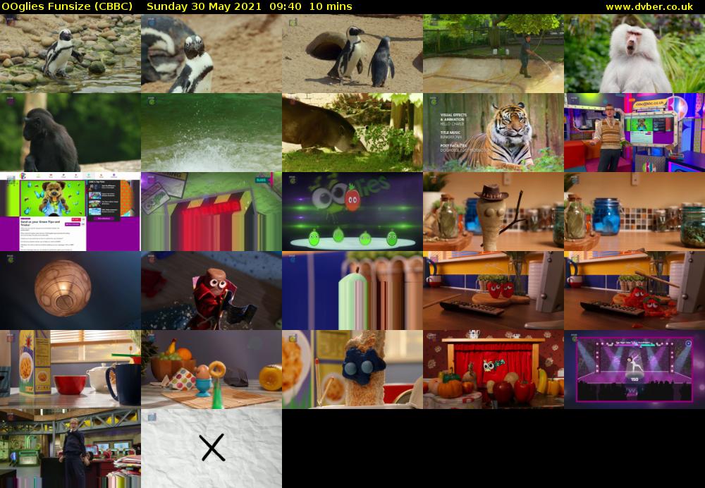 OOglies Funsize (CBBC) Sunday 30 May 2021 09:40 - 09:50