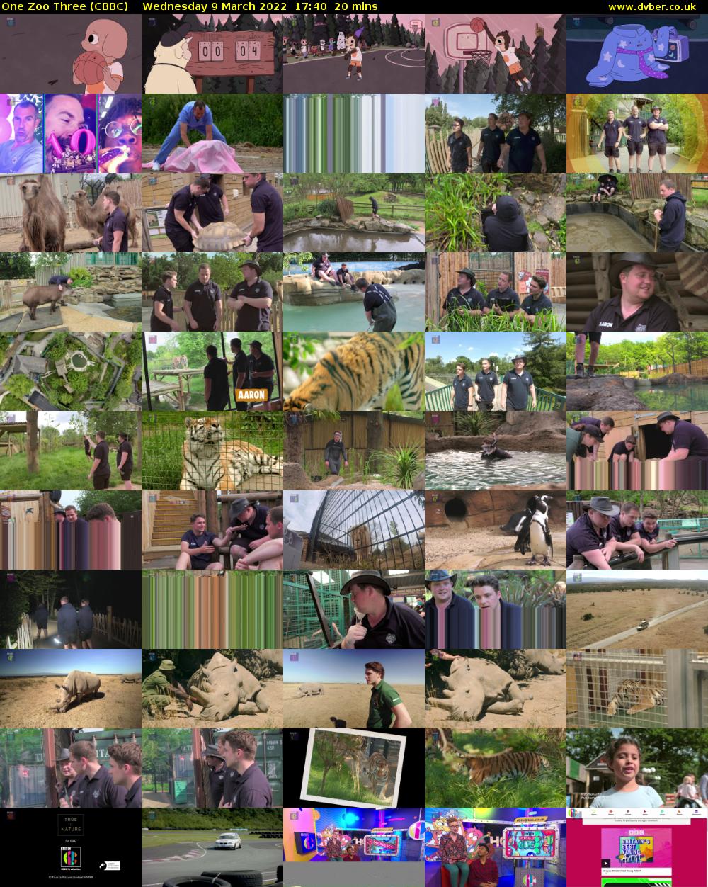 One Zoo Three (CBBC) Wednesday 9 March 2022 17:40 - 18:00