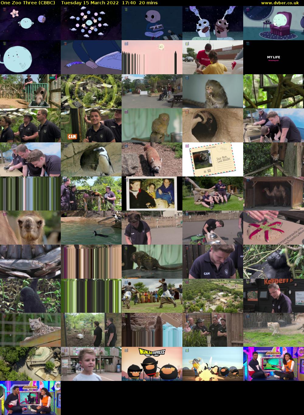 One Zoo Three (CBBC) Tuesday 15 March 2022 17:40 - 18:00