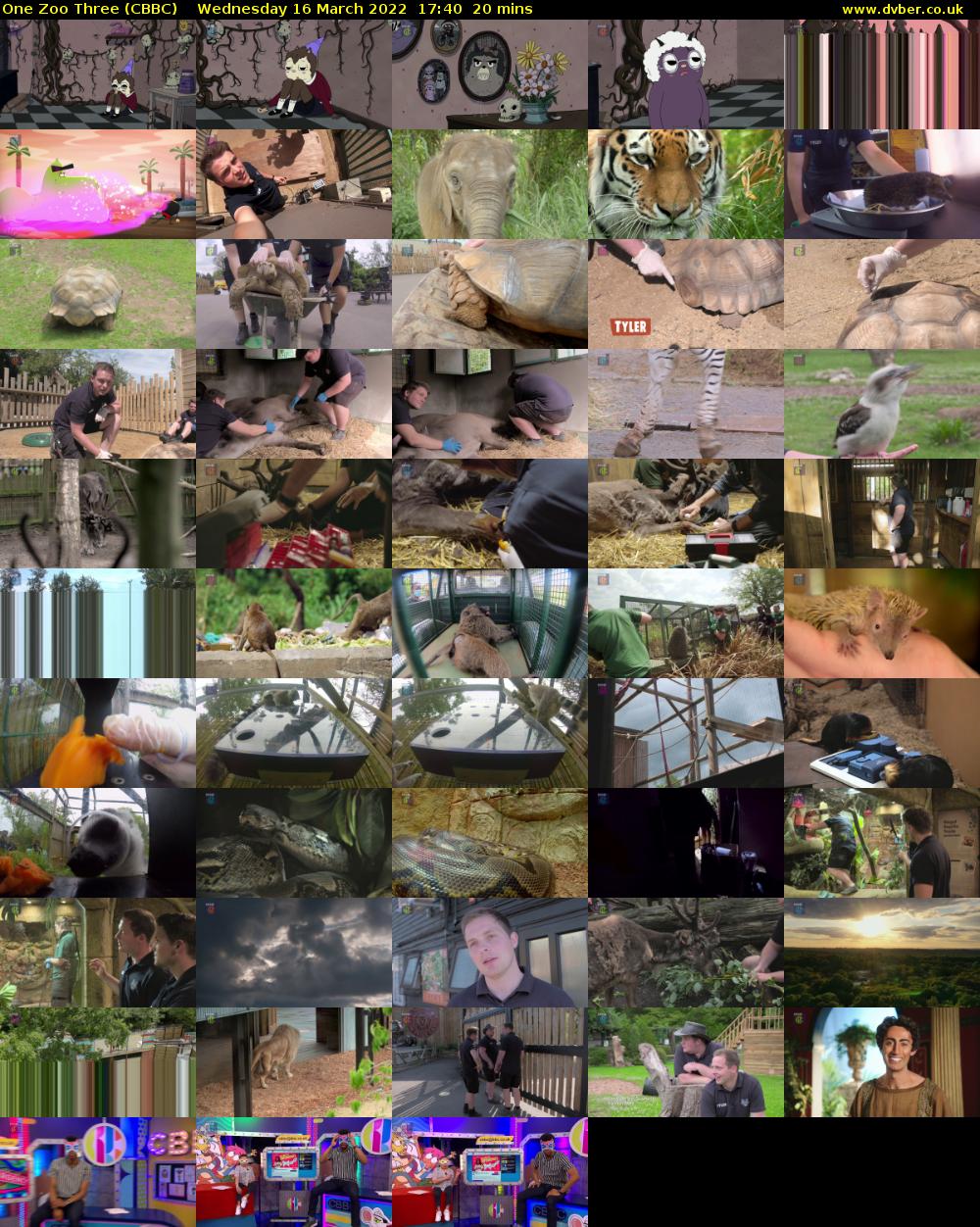 One Zoo Three (CBBC) Wednesday 16 March 2022 17:40 - 18:00