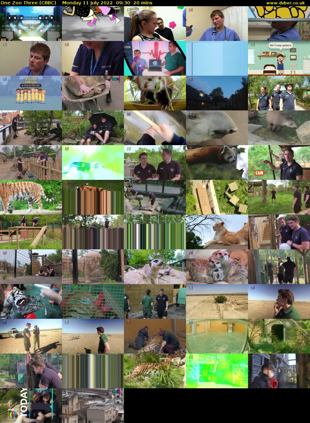 One Zoo Three (CBBC) Monday 11 July 2022 09:30 - 09:50
