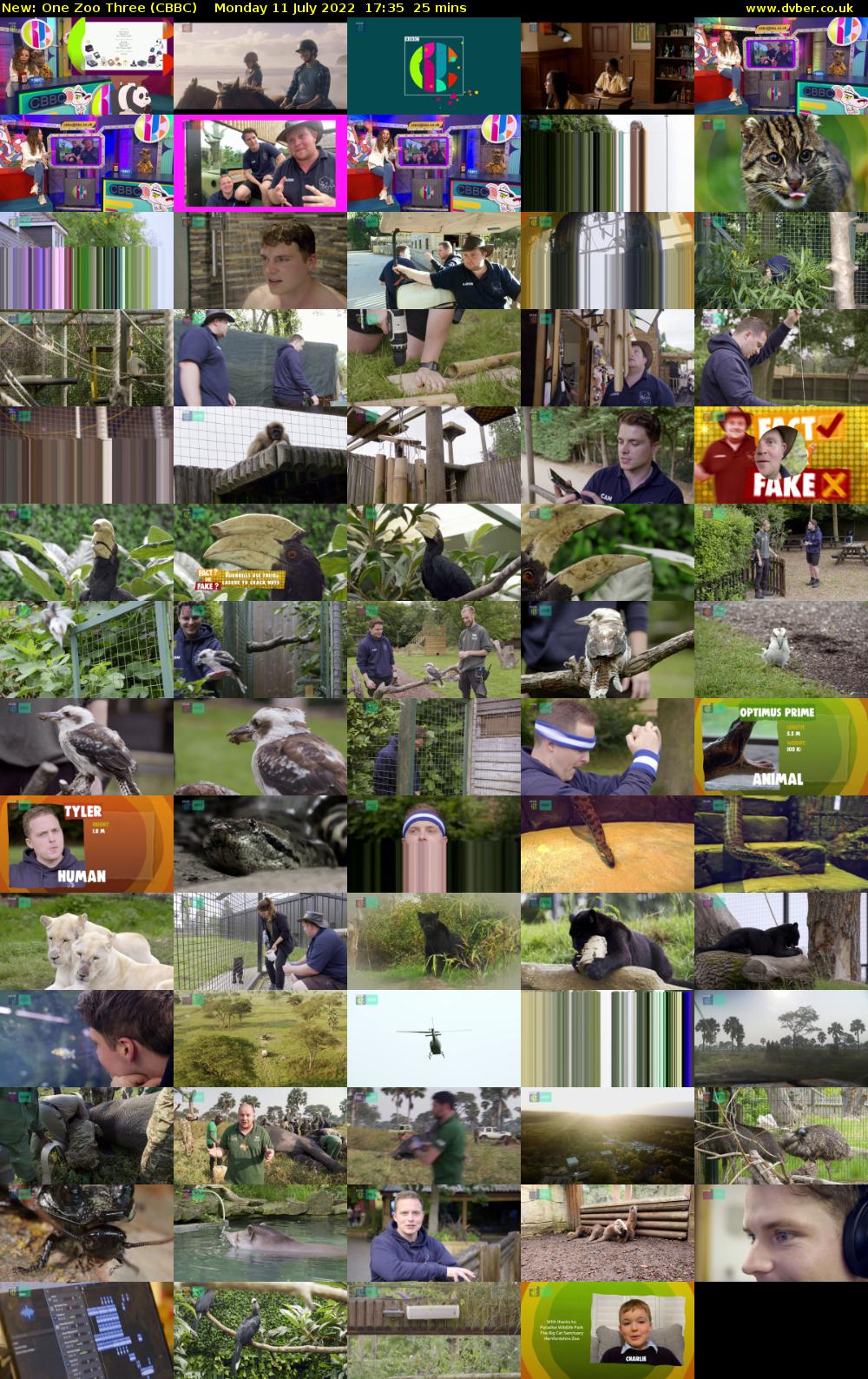 One Zoo Three (CBBC) Monday 11 July 2022 17:35 - 18:00