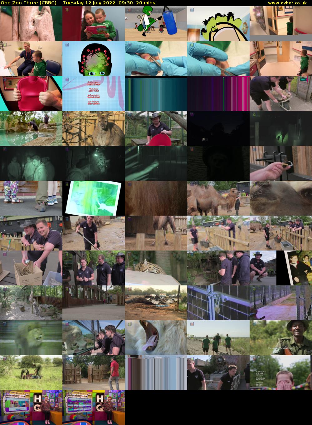 One Zoo Three (CBBC) Tuesday 12 July 2022 09:30 - 09:50