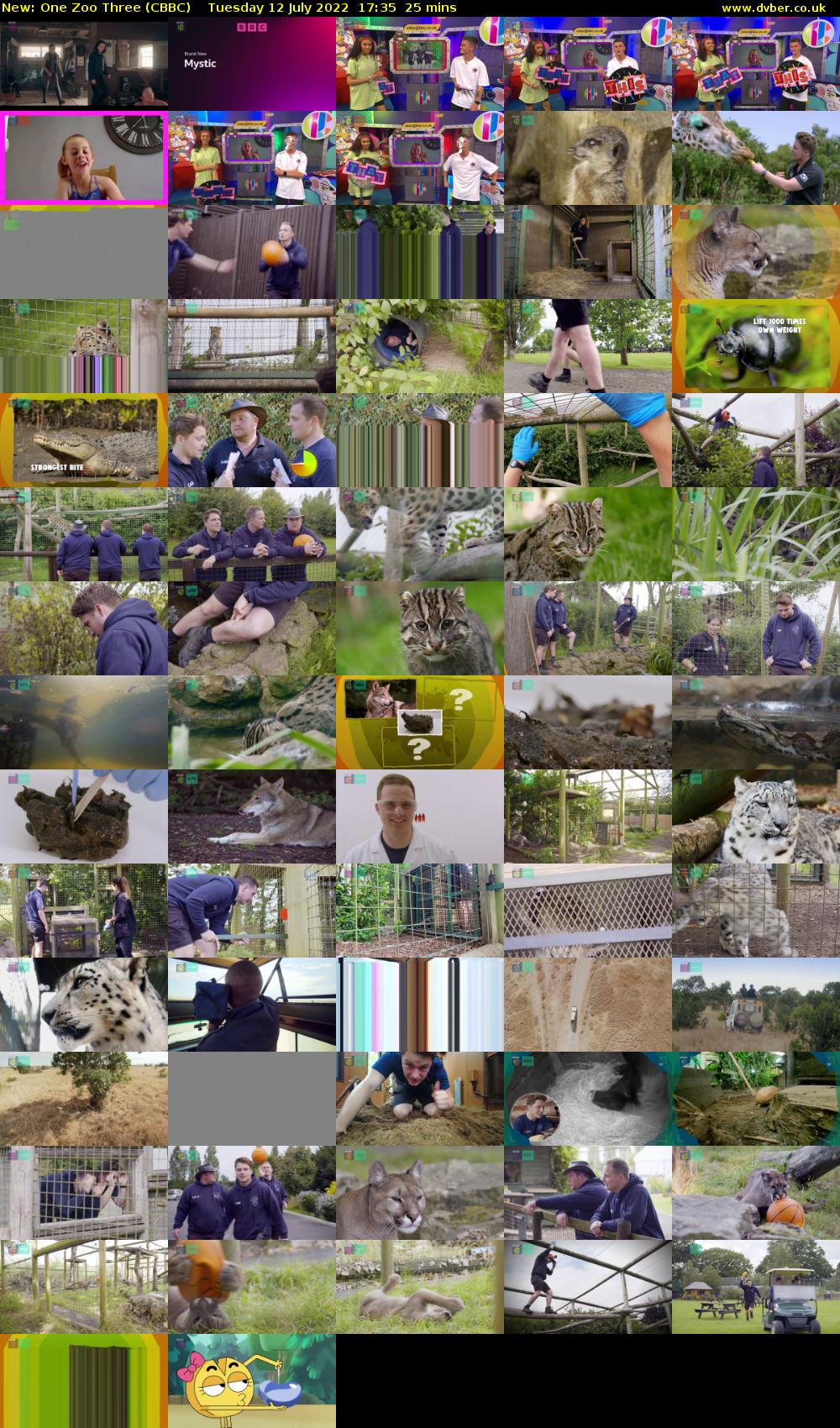 One Zoo Three (CBBC) Tuesday 12 July 2022 17:35 - 18:00