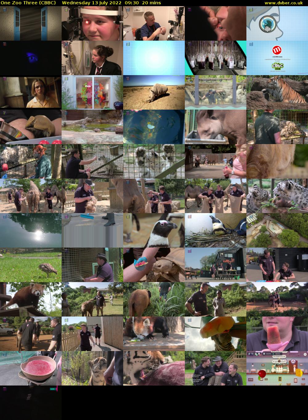 One Zoo Three (CBBC) Wednesday 13 July 2022 09:30 - 09:50