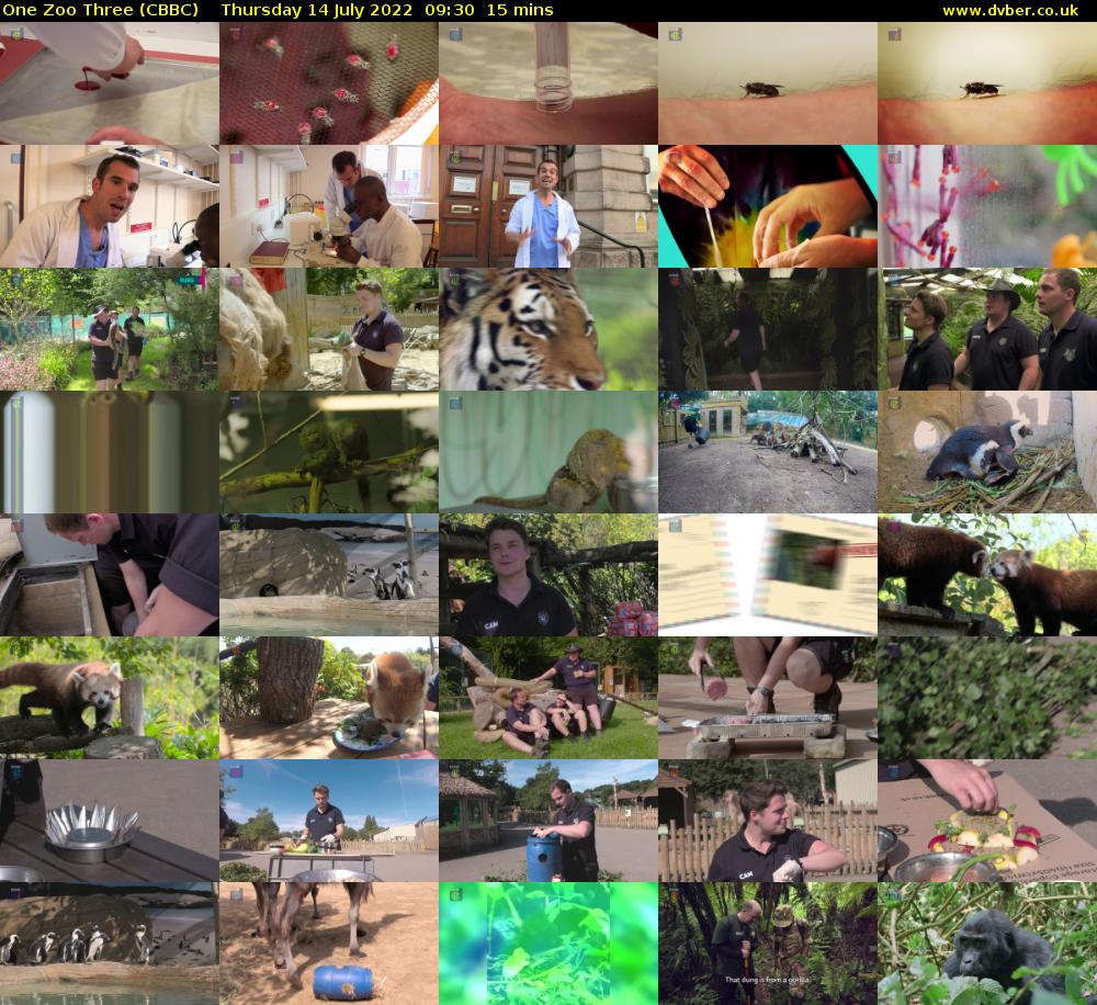 One Zoo Three (CBBC) Thursday 14 July 2022 09:30 - 09:45