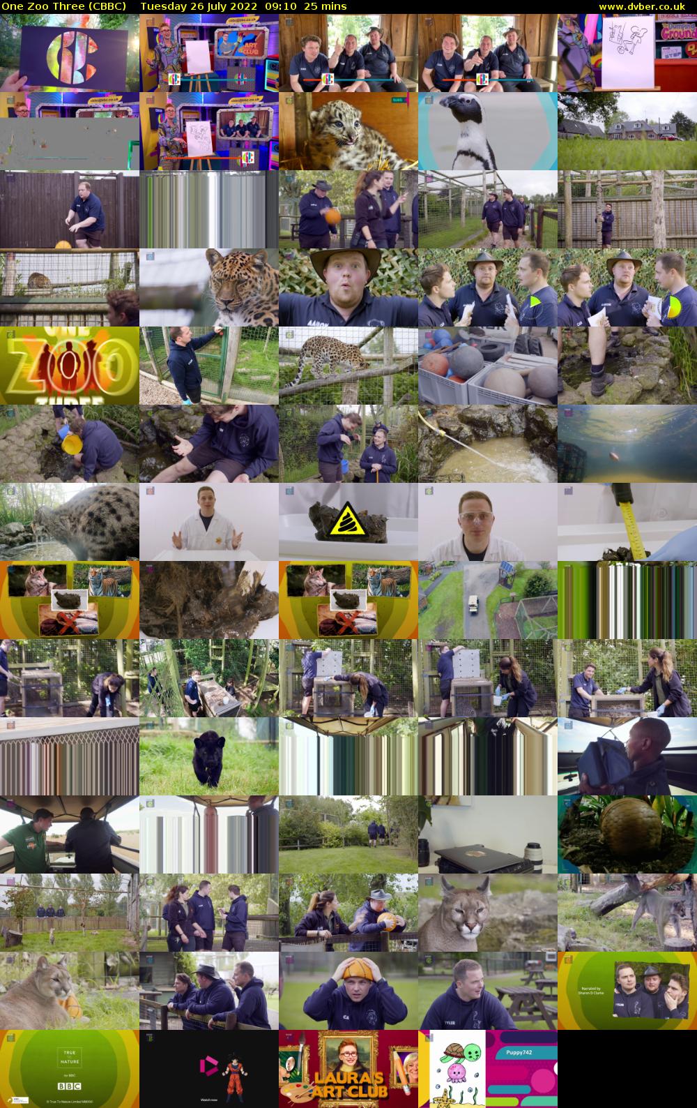 One Zoo Three (CBBC) Tuesday 26 July 2022 09:10 - 09:35