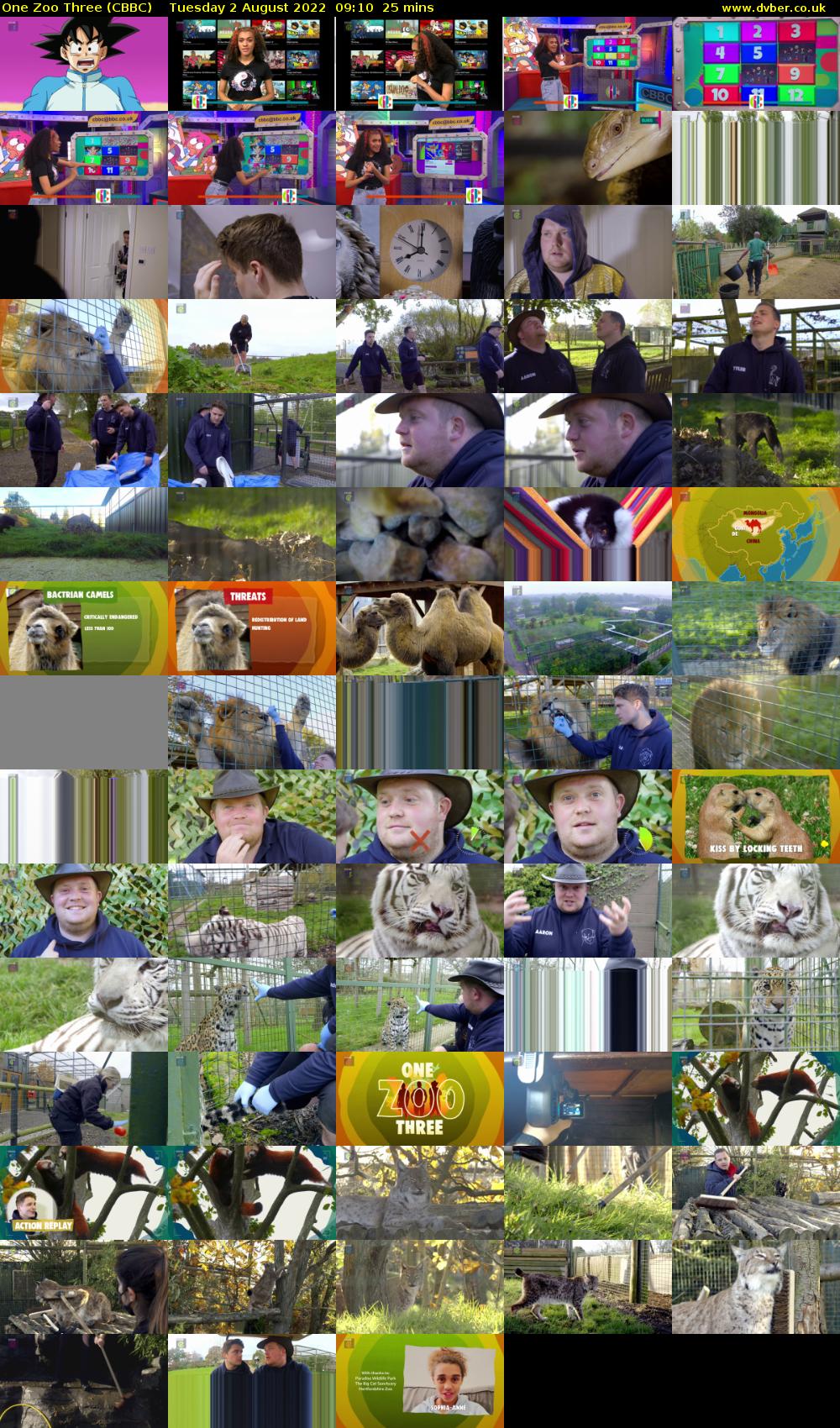 One Zoo Three (CBBC) Tuesday 2 August 2022 09:10 - 09:35