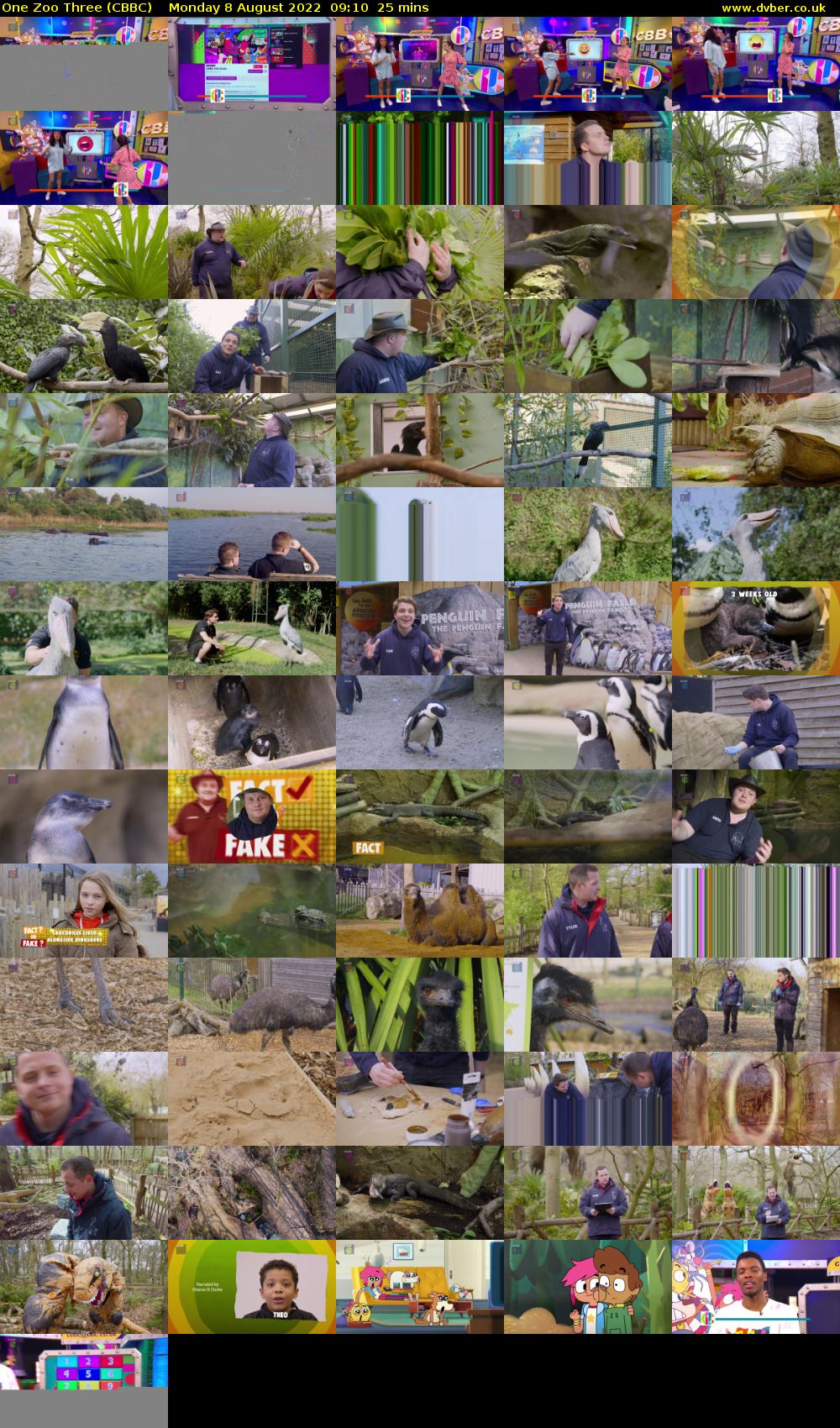 One Zoo Three (CBBC) Monday 8 August 2022 09:10 - 09:35